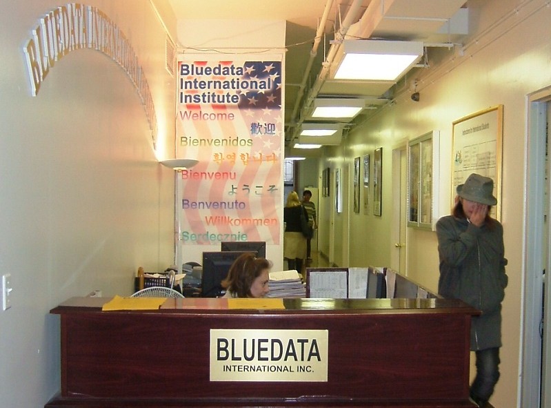 Bluedata International
